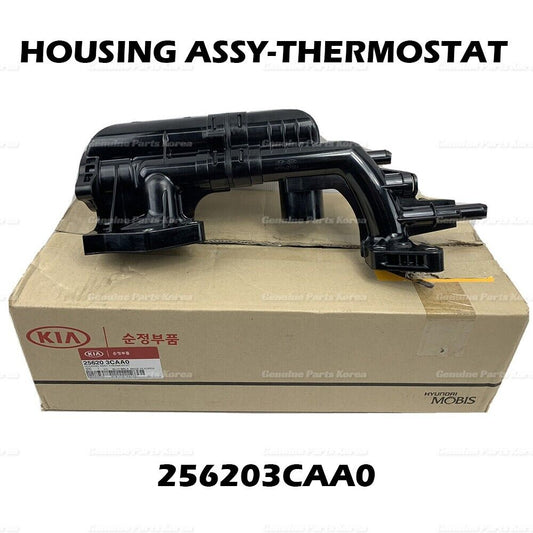 256203CAA0