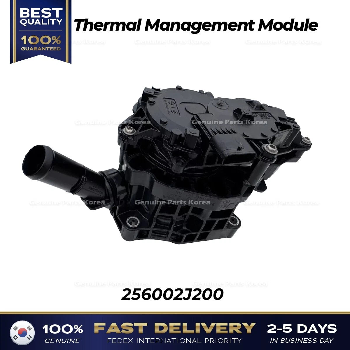 ⭐Genuine⭐ Thermal Management Module 256002J200 for Hyundai Sonata