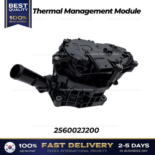 ⭐Genuine⭐ Thermal Management Module 256002J200 for Hyundai Sonata