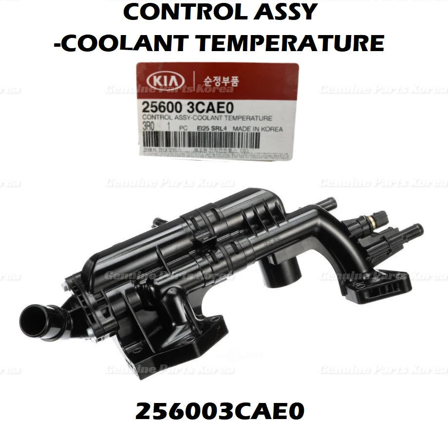 ⭐Genuine⭐ Coolant Temperature Control Assy 256003CAE0 for Hyundai Kia