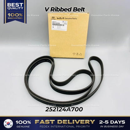Genuine V Ribbed Belt 252124A700 for Hyundai H1