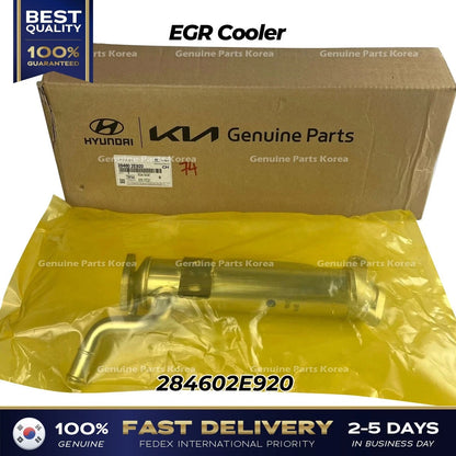 Genuine EGR Cooler 284602E920 for Hyundai Elantra Kia Forte