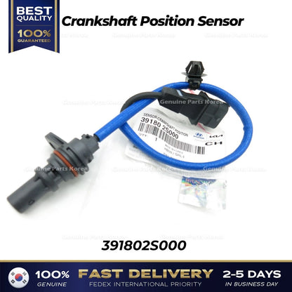 Genuine Crankshaft Position Sensor 391802S000 for Hyundai Santa Fe Kia Sorento