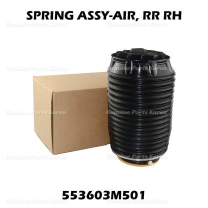 OEM Rear Right Air Suspension Spring Bag 553603M501 For Hyundai Equus 2011-16