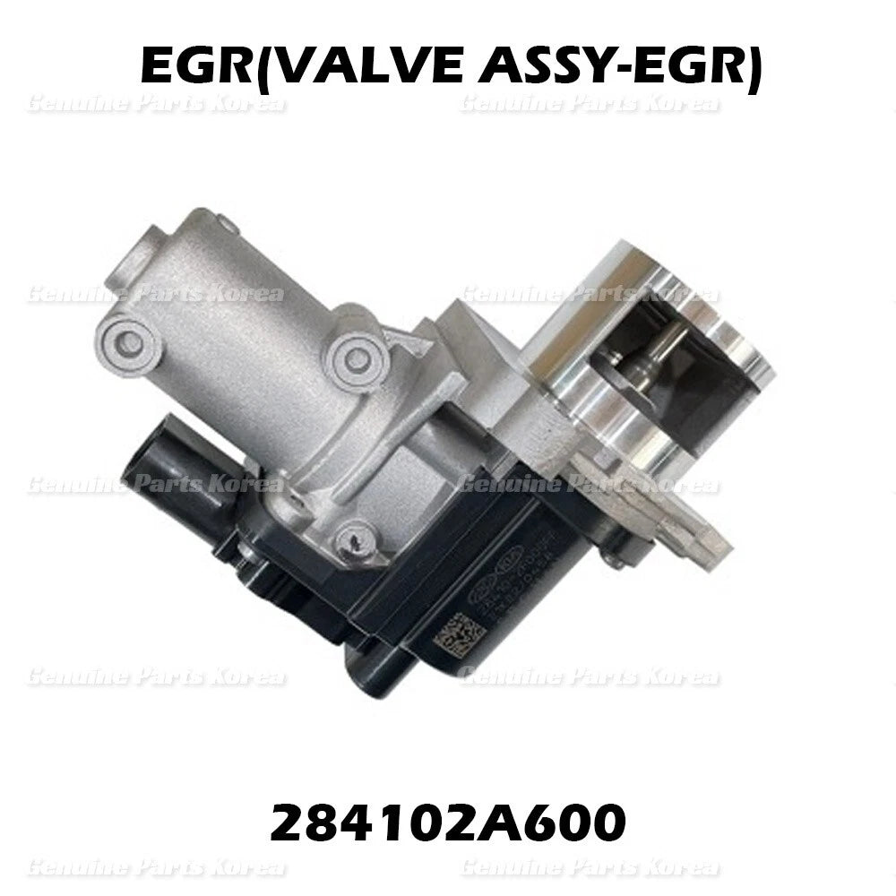 ⭐OEM⭐ VALVE ASSY-EGR 284102A600 for Hyundai Sonata Tucson i40 Kia K3 Sportage