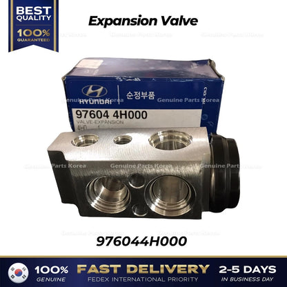 Genuine Expansion Valve 976044H000 for Hyundai H1 Grand Starex
