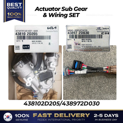 Genuine Actuator Sub Gear & Wiring SET 438102D205 for Hyundai Kia