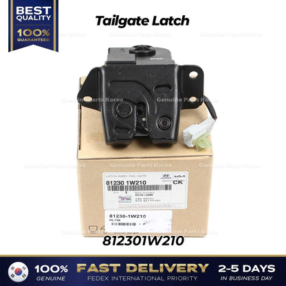 Genuine Tailgate Latch 812301W210 for Kia Rio