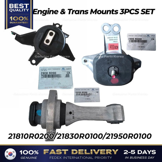⭐Genuine⭐ Engine & Trans Mounts 3PCS SET for Kia Carnival
