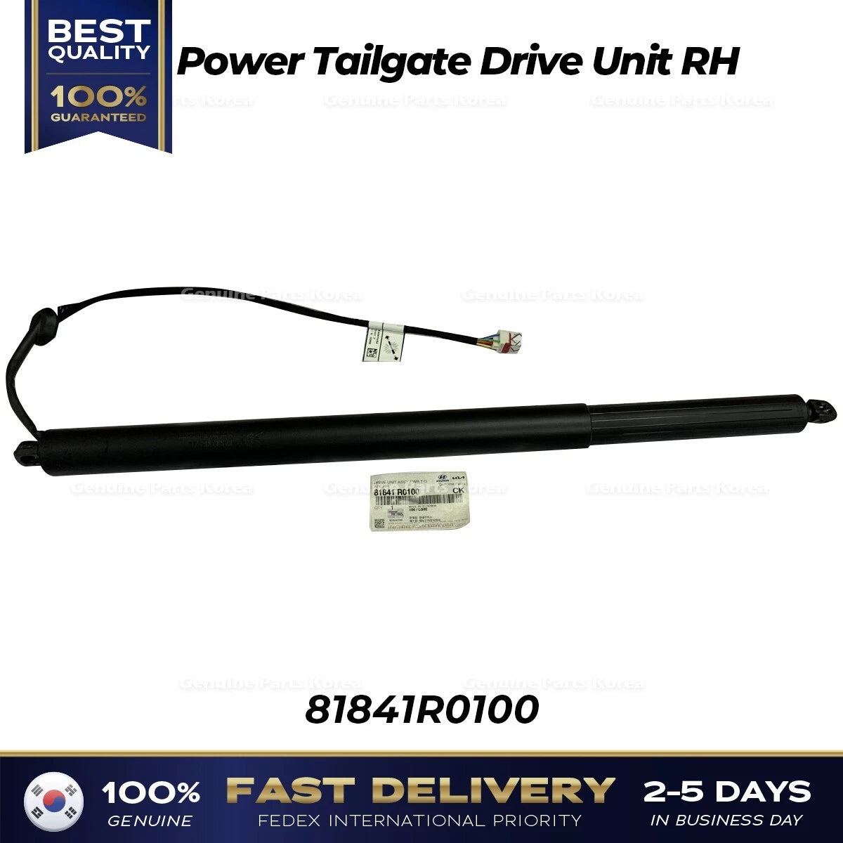 ⭐Genuine⭐ Power Tailgate Drive Unit RH 81841R0100 for Kia Carnival