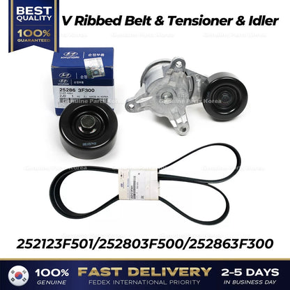 Genuine V Ribbed Belt & Tensioner & Idler for Hyundai Equus Genesis Kia K900