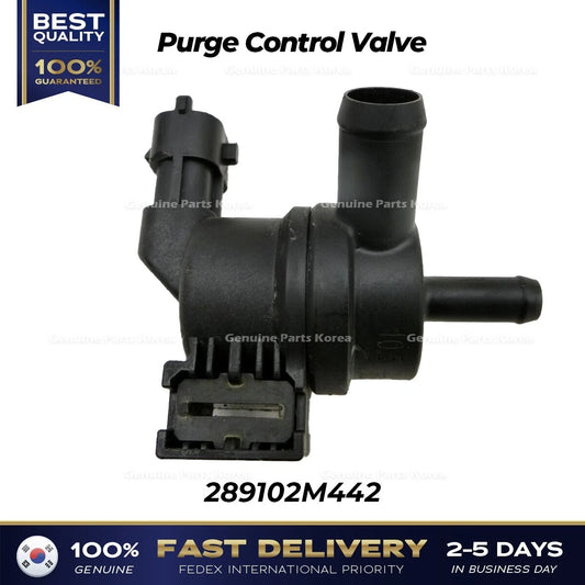 ⭐Genuine⭐ Purge Control Valve 289102M442 for Hyundai Santa Fe Kia Sorento