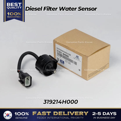 Genuine Diesel Filter Water Sensor 319214H000 for Hyundai H1