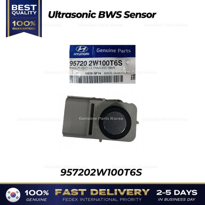 Genuine Ultrasonic BWS Sensor 957202W100T6S for Hyundai Santa Fe