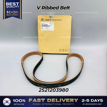 Genuine V Ribbed Belt 2521203980 for Hyundai Accent Kia Rio
