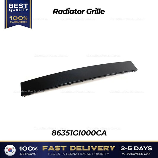 ⭐Genuine⭐ Radiator Grille 86351GI000CA for Hyundai Ioniq 5