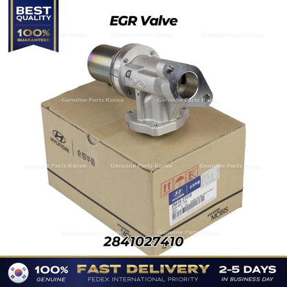 Genuine EGR Valve 2841027410 for Hyundai Santa Fe Kia Sportage