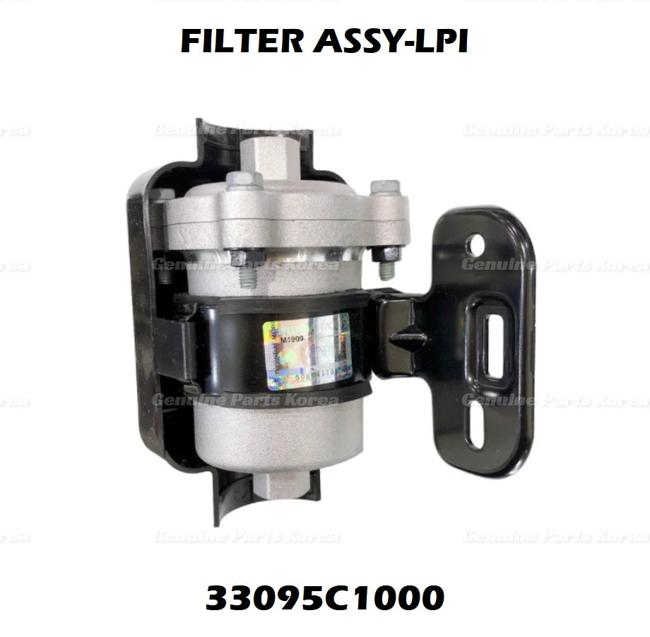 ⭐Genuine⭐ Filter Assembly LPI/LPG 33095C1000 for Hyundai Sonata 2015-2018