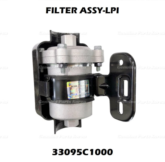 ⭐Genuine⭐ Filter Assembly LPI/LPG 33095C1000 for Hyundai Sonata 2015-2018
