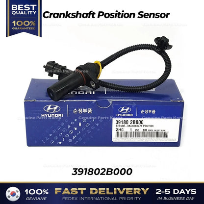 Genuine Crankshaft Position Sensor 391802B000 for Hyundai Kia