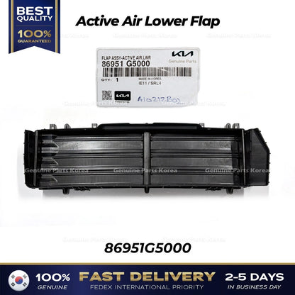 Genuine Active Air Lower Flap 86951G5000 for Kia Niro