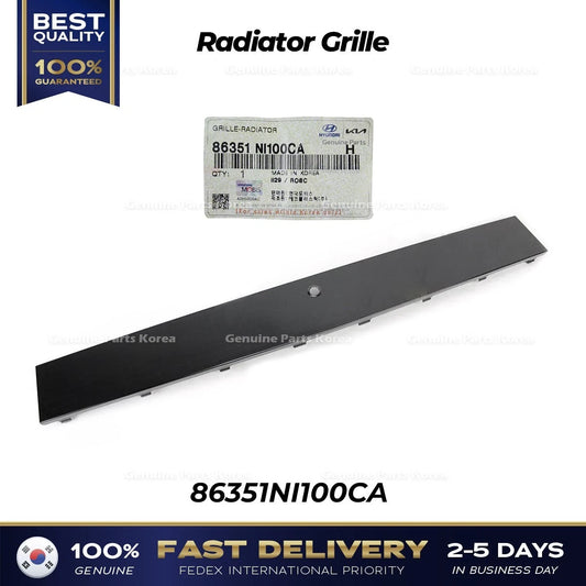⭐Genuine⭐ Radiator Grille 86351NI100CA for Hyundai Ioniq 5 N