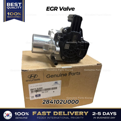 Genuine EGR Valve 284102U000 for Hyundai i30 Kona Tucson