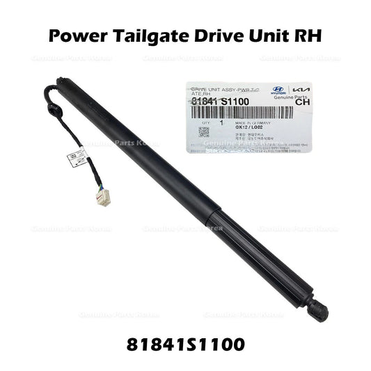 ⭐Genuine⭐ Power Tailgate Drive Unit RH 81841S1100 for Hyundai Santa Fe