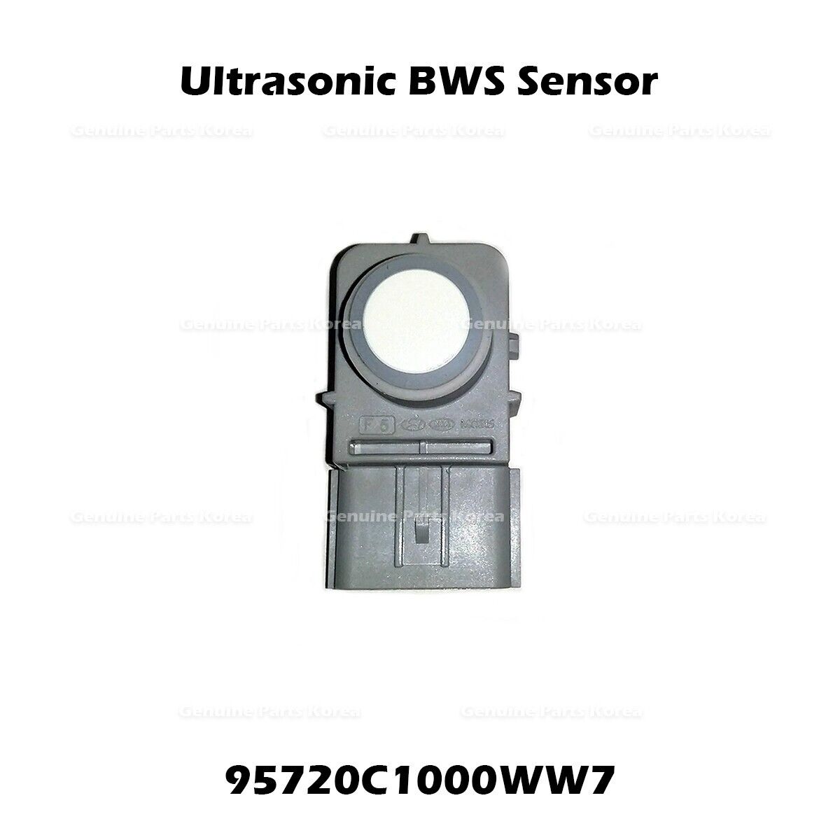 95720C1000WW7