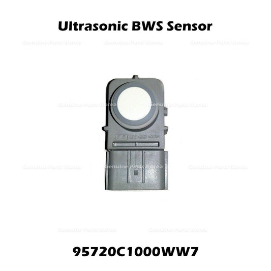 95720C1000WW7