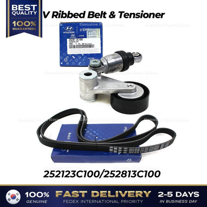 Genuine V Ribbed Belt & Tensioner 252123C100 252813C100 for Hyundai Kia