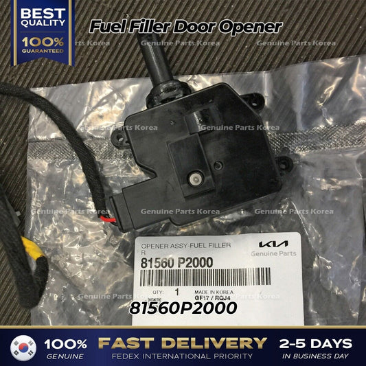81560P2000