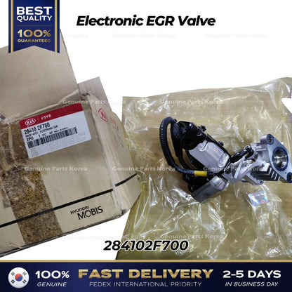 Genuine Electronic EGR Valve 284102F700 for Hyundai Maxcruz Santa Fe
