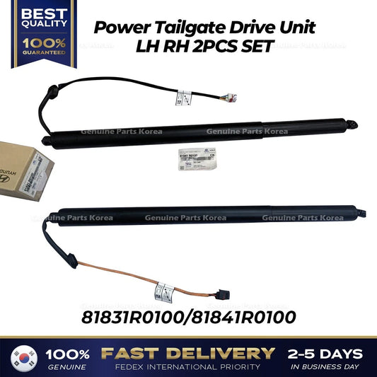 ⭐Genuine⭐ Power Tailgate Drive Unit LH RH 2PCS SET for Kia Carnival