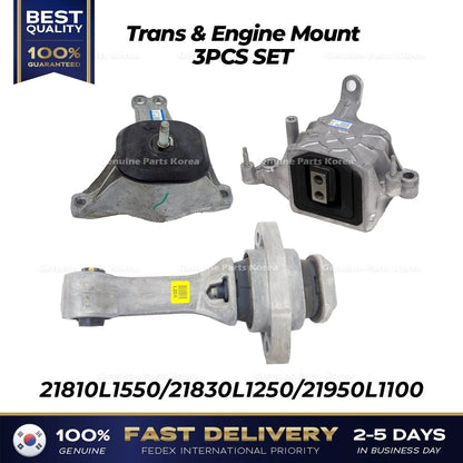 Genuine Trans & Engine Mount 3PCS SET for Hyundai Sonata