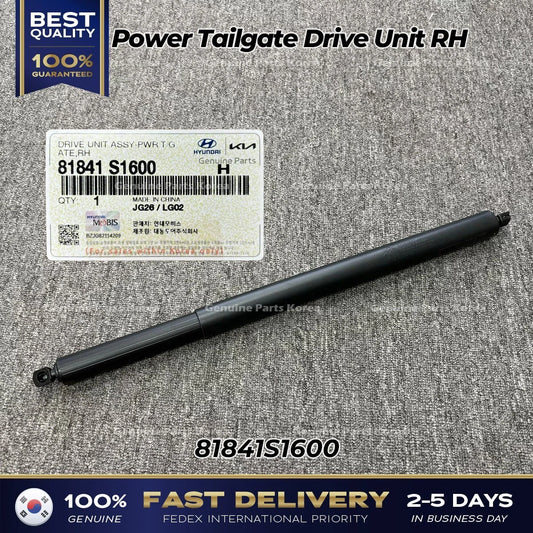 ⭐Genuine⭐ Power Tailgate Drive Unit RH 81841S1600 for Hyundai Santa Fe
