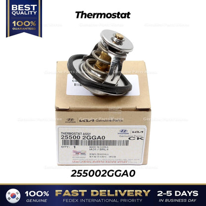 Genuine Thermostat 255002GGA0 for Hyundai Santa Fe Kia Optima