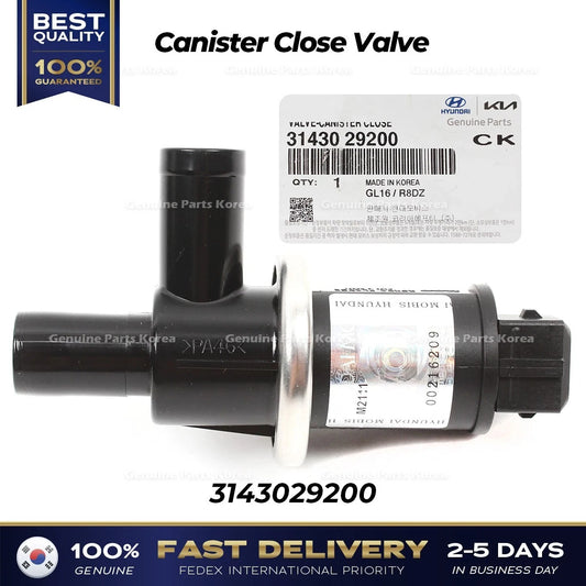 ⭐Genuine⭐ Canister Close Valve 3143029200 for Hyundai Accent Elantra Kia Optima