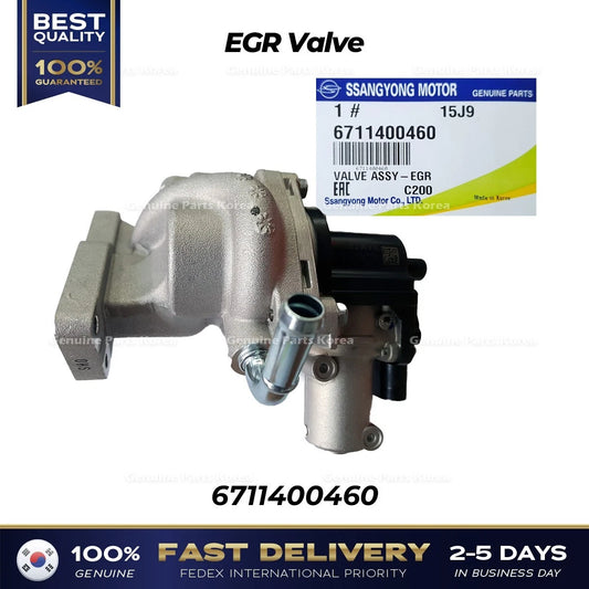 ⭐Genuine⭐ EGR Valve 6711400460 for Ssangyong Rexton Korando