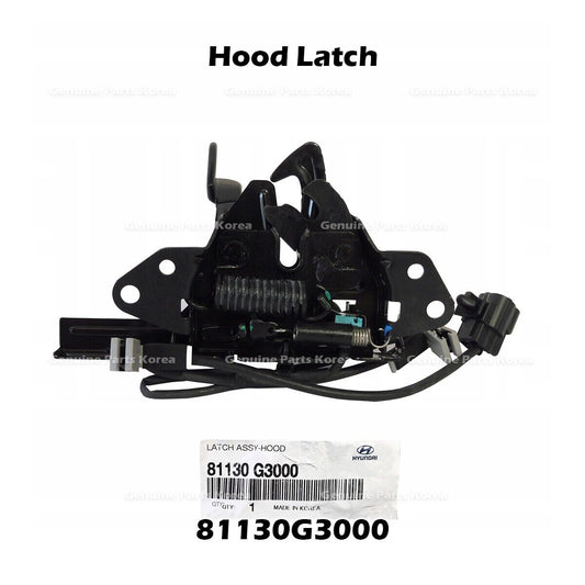 81130G3000