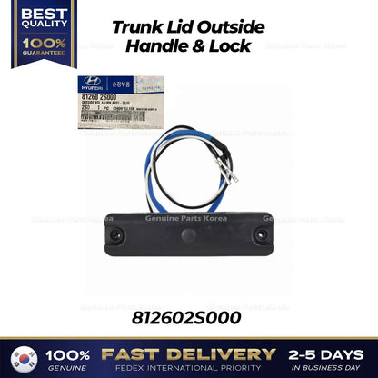 Genuine Trunk Lid Outside Handle & Lock 812602S000 for Hyundai Tucson
