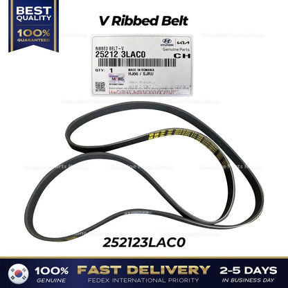Genuine V Ribbed Belt 252123LAC0 for Hyundai Palisade Kia Telluride