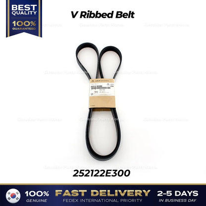 Genuine V Ribbed Belt 252122E300 for Hyundai Elantra Kia Forte