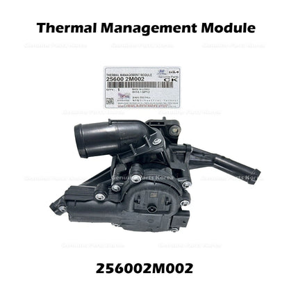 Genuine Thermal Management Module 256002M002 for Hyundai Accent Kia Rio