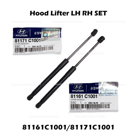 81161C1001 81171C1001
