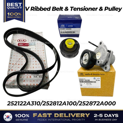 Genuine V Ribbed Belt & Tensioner & Pulley for Hyundai i40