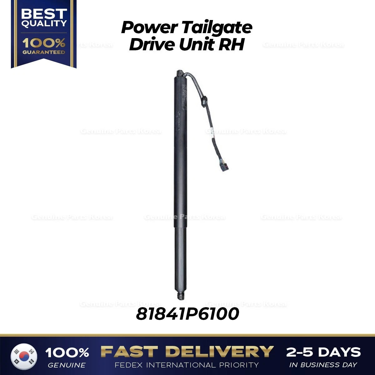 ⭐Genuine⭐ Power Tailgate Drive Unit RH 81841P6100 for Hyundai SantaFe MX5