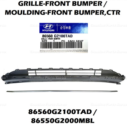 OEM Front Bumper Lower Grille + Color Molding 2P 1set for Hyundai Ioniq 17-22
