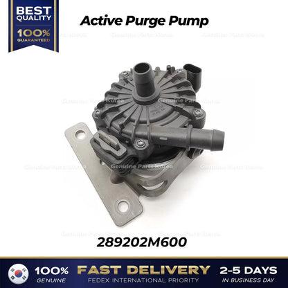 Genuine Active Purge Pump 289202M600 for Hyundai Tucson Kia Sorento
