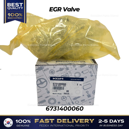 ⭐Genuine⭐ EGR Valve 6731400060 for Ssangyong Tivoli